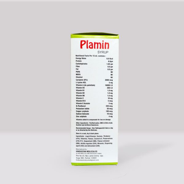 Plamin Antioxidants Syrup